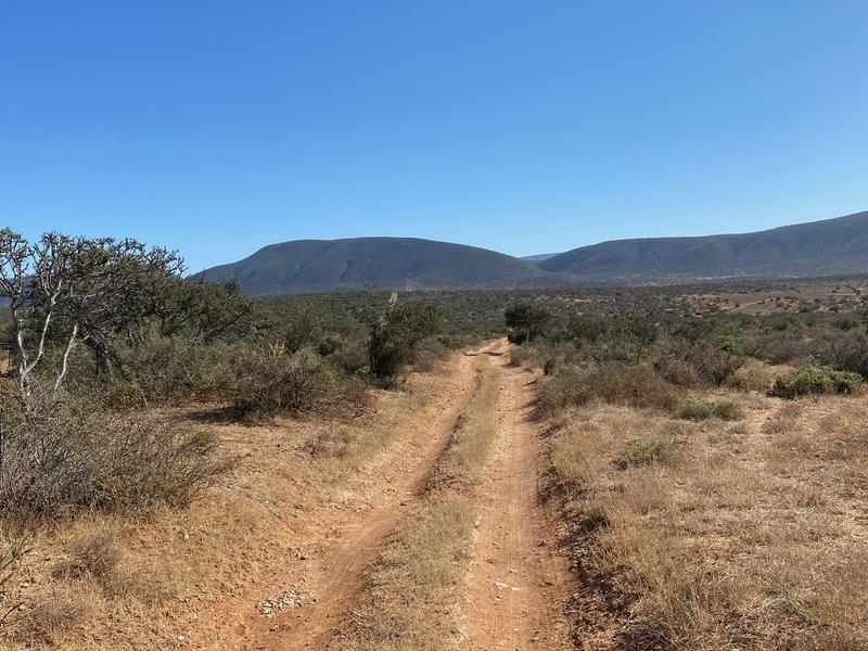 0 Bedroom Property for Sale in Kirkwood Eastern Cape